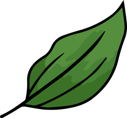 vector illustration of green leaf
