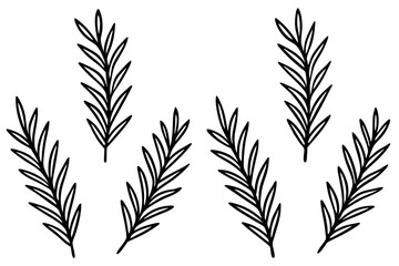 Fir Branch Sketch Style Vector Set