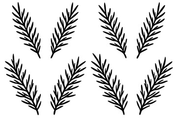 Fir Branch Sketch Style Vector Set