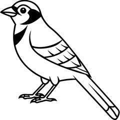 Jay One-Line Art Vector Illustration