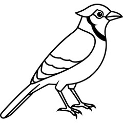 Jay One-Line Art Vector Illustration