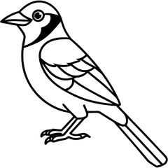 Jay One-Line Art Vector Illustration