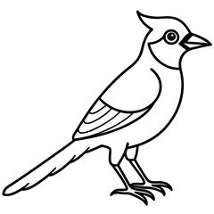 Jay One-Line Art Vector Illustration