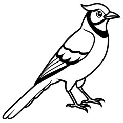 Jay One-Line Art Vector Illustration