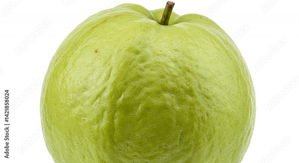 Poster detailed botanical real shot isolated white guava psidium guajava highlighting fruit texture and see
