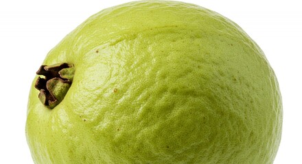 Detailed Botanical Real Shot of Guava Psidium Guajava Highlighting Fruit Texture and Seed Distribution Isolated on White Background