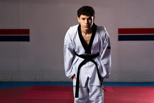 Male taekwondo fighter bowing in dojo wearing dobok and black belt