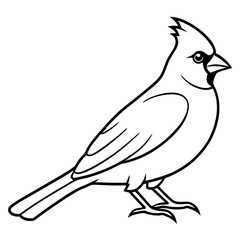 Minimalist Cardinal Bird One-Line Vector Art