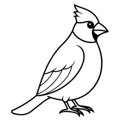 Minimalist Cardinal Bird One-Line Vector Art