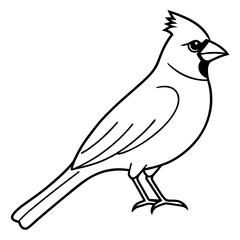 Minimalist Cardinal Bird One-Line Vector Art