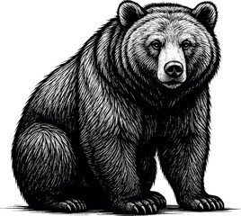 Bear sitting front view vector black silhouette cricut print design isolated on a plain white background