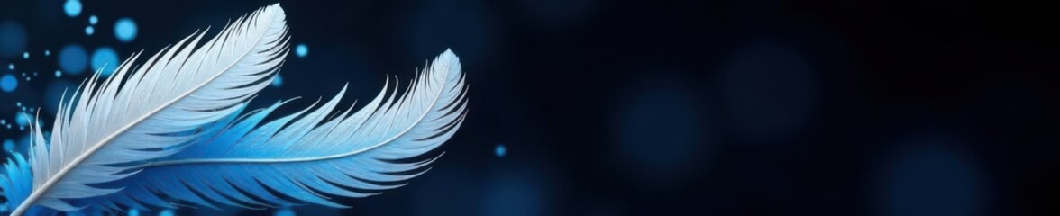 Abstract white & blue feathers, black background Soft texture, elegant design , nature, white, pattern