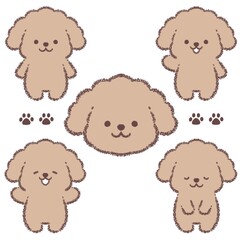 トイプードルのバリエーションセット