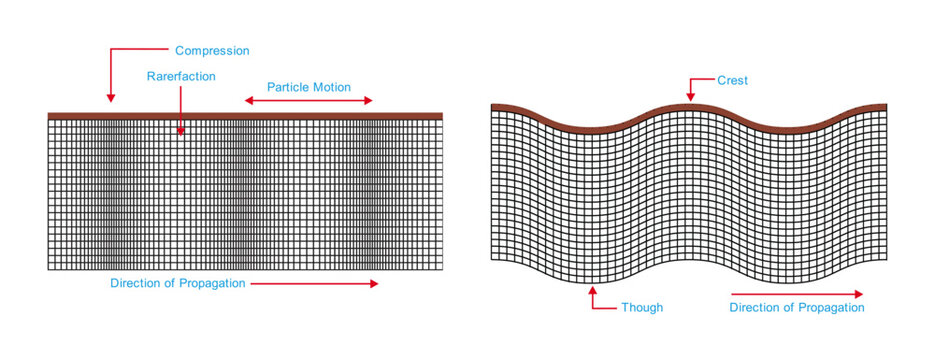 Vector illustration of seismic waves showing longitudinal and transverse wave propagation. understanding seismic waves: primary waves and earthquake vibrations.