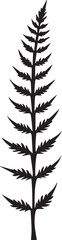 A beautiful Neem