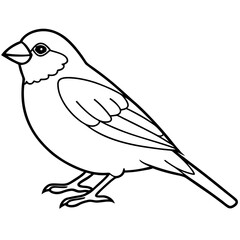 Minimalist Finch Line Art Vector