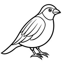 Minimalist Finch Line Art Vector