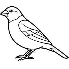 Minimalist Finch Line Art Vector