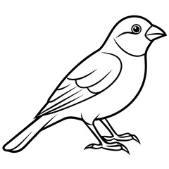 Minimalist Finch Line Art Vector