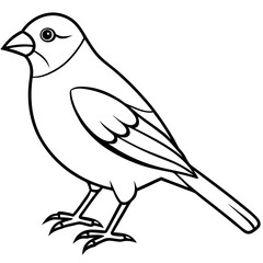 Minimalist Finch Line Art Vector