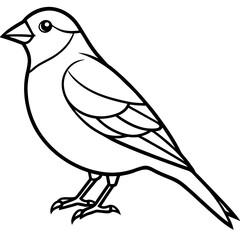 Minimalist Finch Line Art Vector