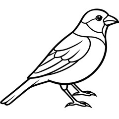 Minimalist Finch Line Art Vector