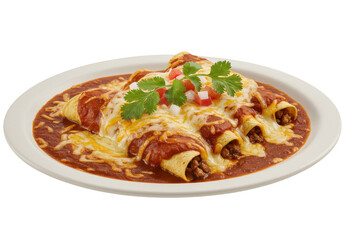 Enchiladas with melted cheese and salsa
