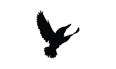 African pygmy kingfisher bird Silhouette Design  And Vector Illustration. 