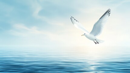 Obraz premium Majestic seagull in flight soaring over the expansive ocean waves