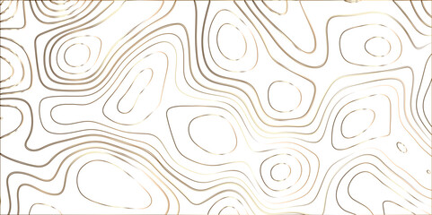 Topographic canyon geometric map relief texture with curved layers and shadow. abstract White background with a beautiful pattern, Topographic contour lines vector map seamless pattern vector.