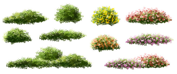  Vector watercolor blooming flower tree or forest side view isolated on white background for landscape and architecture drawing,elements for environment or and garden,green tree for garden section 