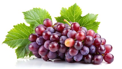 Fototapeta premium Fresh grape vine isolated on white background