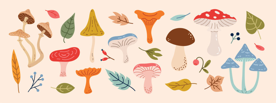 Whimsical Fungi  Foliage A charming array of illustrated mushrooms  leaves on a warm background