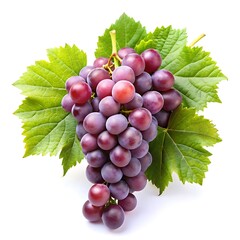 Fototapeta premium Fresh grape vine isolated on white background