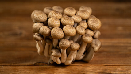 Brown Beech Shimeji Mushrooms Background on a Wooden Surface