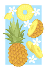 Vector fruit poster with pineapple