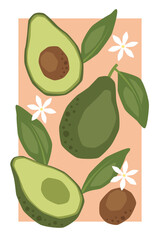 Vector fruit poster with avocado