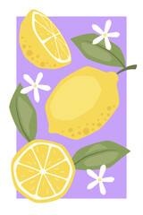Vector fruit poster with lemon