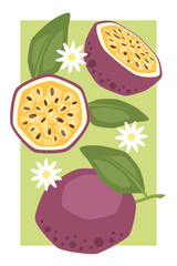 Vector poster with passion fruit