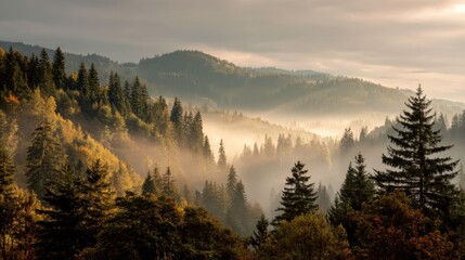 Obraz premium Tranquil mountain landscape with soft morning mist, golden sunlight brushing the treetops, peaceful atmosphere
