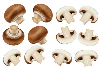 Various mushroom slices