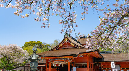 静岡県富士宮市　春の富士山本宮浅間大社