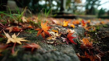 Autumn leaves scattered on a standard outdoor park realistic photograph nature scene ground level seasonal beauty