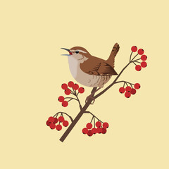 Fototapeta premium Brown wren bird perched singing on red berry branch in simple beige background illustration 