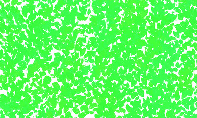 green grass background