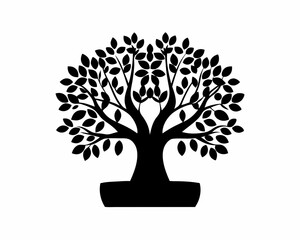 creative Silhouette Ficus Bonsai Icon Vector Illustration 
