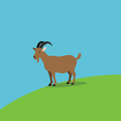 Obraz premium Goat standing on green hill under clear blue sky vector illustration with simple flat design style 