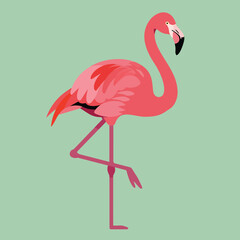 Obraz premium Flamingo standing on one leg with pink feathers and green background vector illustration natural wildlife scene 