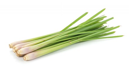 Fresh Lemongrass Stalks Displaying Vibrant Green Leaves and Pale White Bases on Pure White Background in Sharp Detail and Natural Lighting