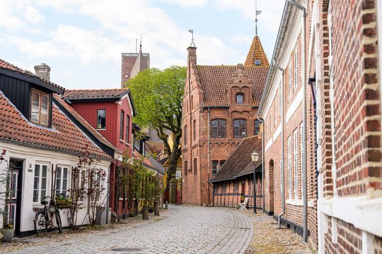 Ribe